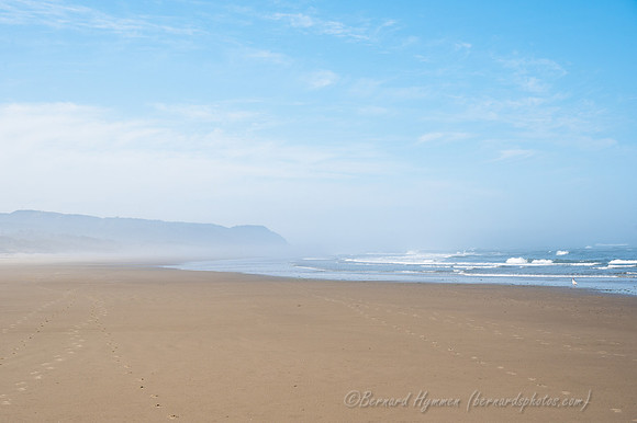 Z6_176467