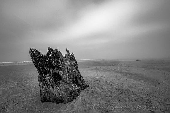 Z6_176575