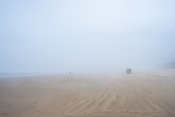Z6_176591