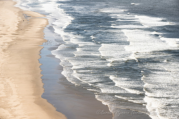 Z6_176623