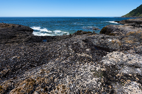 Z6_176938