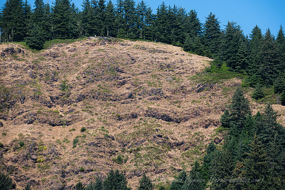 Z6_176939