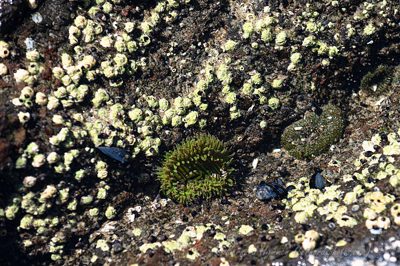 Z6_176989