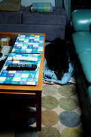 D70_21840.jpg