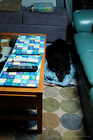 D70_21840.jpg