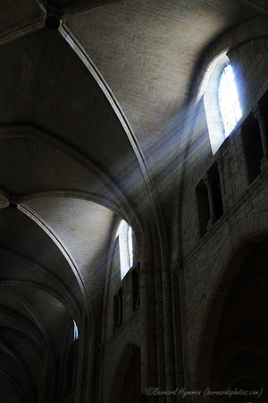 D300_86123