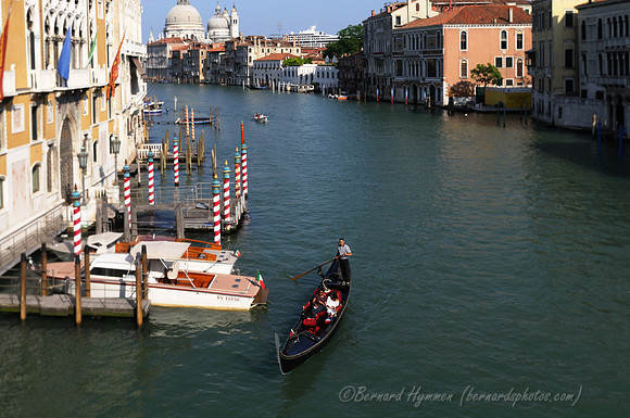 D300_44637.jpg
