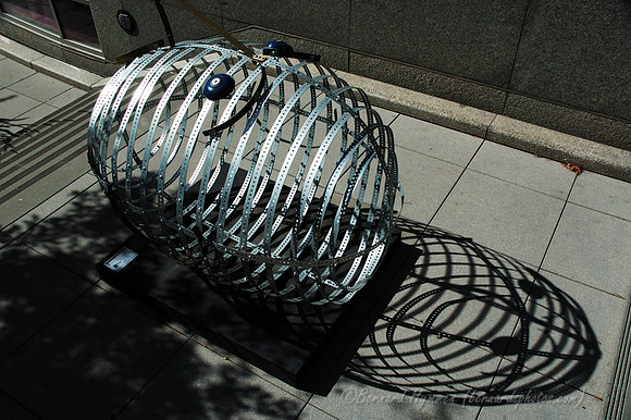 D70_11744