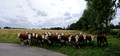pano_D300_99769-99770