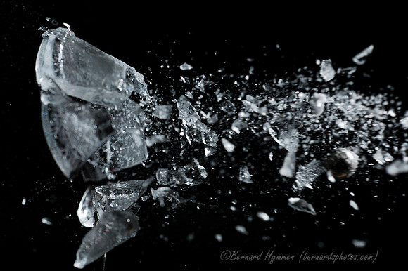 D70_21261