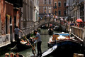 D300_45517.jpg