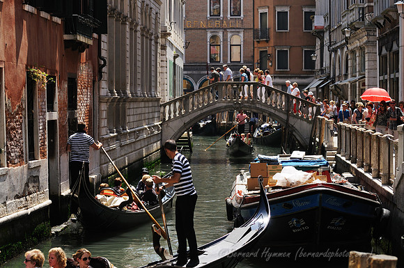 D300_45517.jpg