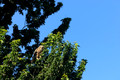 D300_55358
