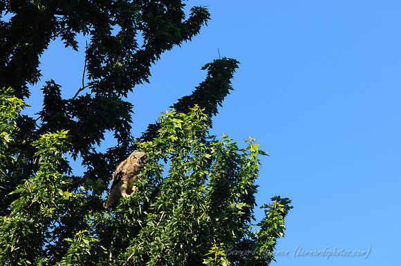 D300_55358