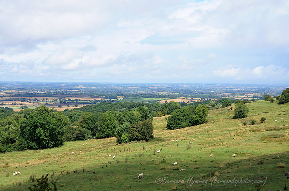 D300_99420