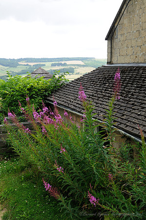 D300_99084