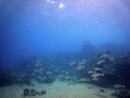 SD800_58236