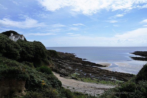 D300_100609