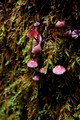 D70_076302004-10-09_01