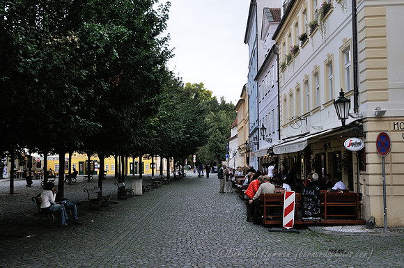 D300_74190