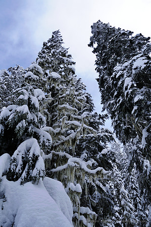 D300_95829