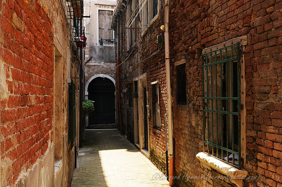 D300_45075.jpg
