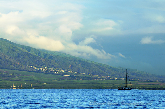 D300_57795