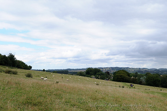 D300_99621
