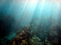SD800_58586