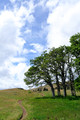 D300_96277