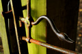 D300_99795