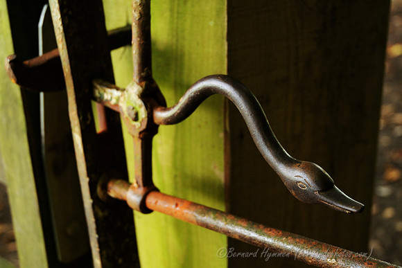 D300_99795