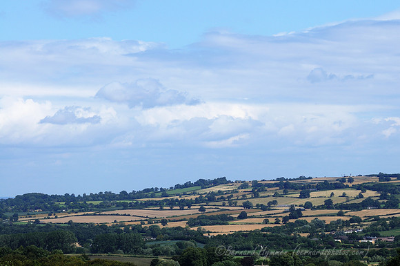 D300_99650