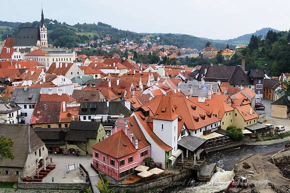 D300_74028