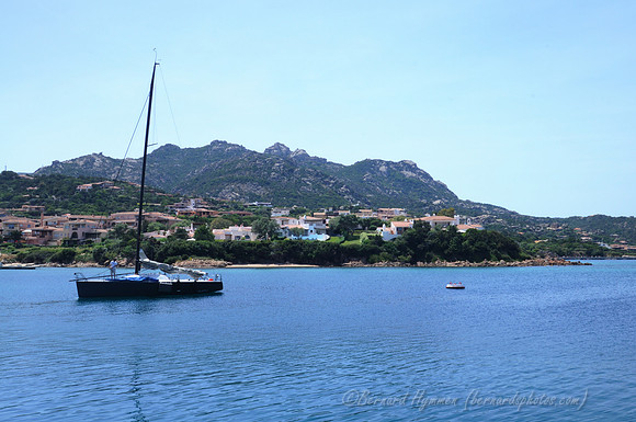 D300_45913.jpg