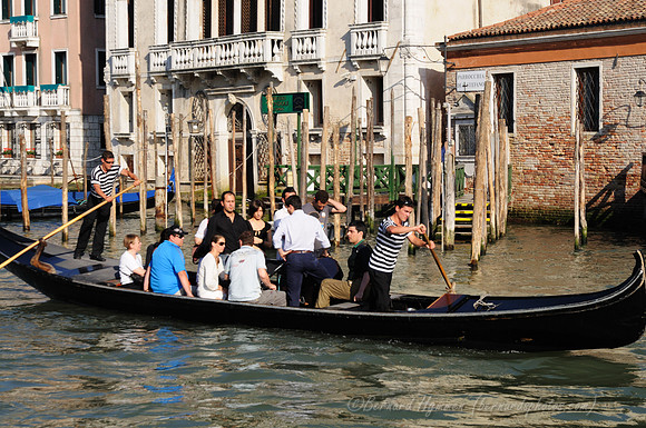 D300_45707.jpg