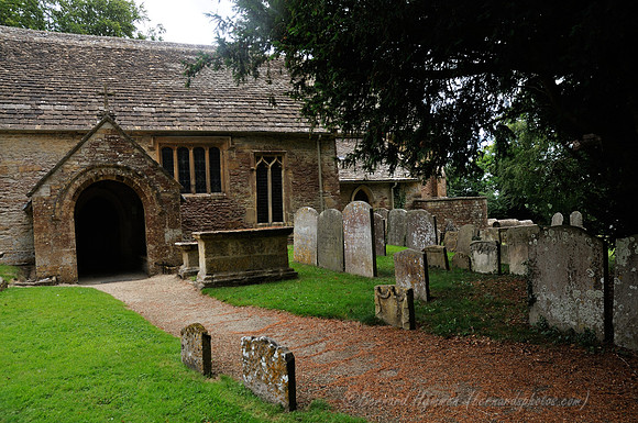 D300_99865