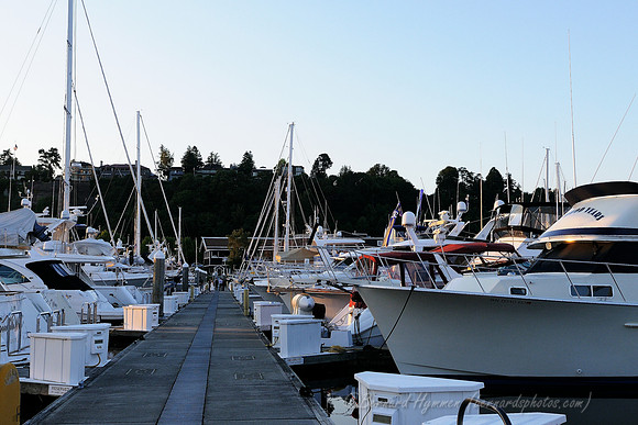 D300_72468