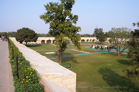 D300_68621