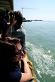 D300_45597.jpg