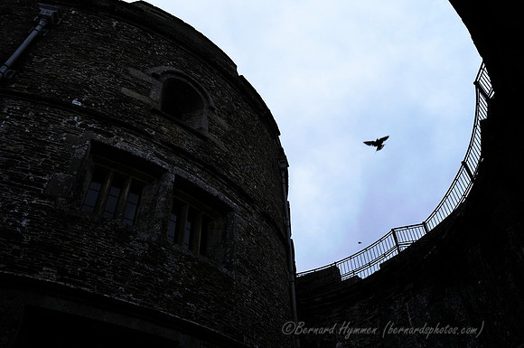 D300_100731