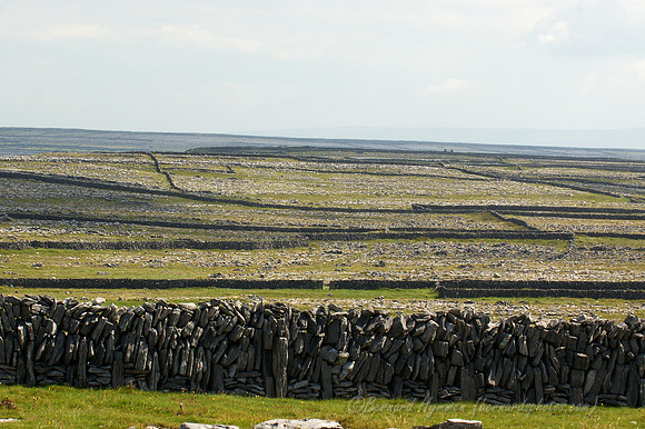 D70_062482004-08-25_01