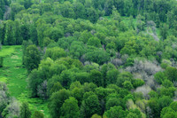 Beacon Rock