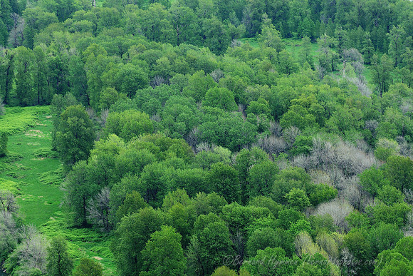 D300_96068