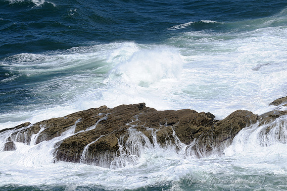 D300_100925