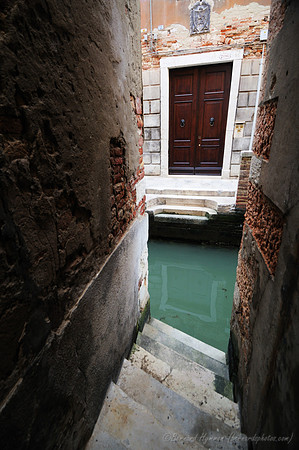 D300_44713.jpg