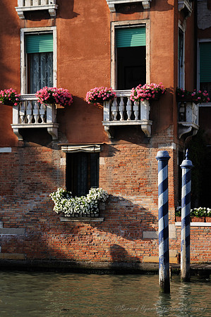 D300_45754.jpg