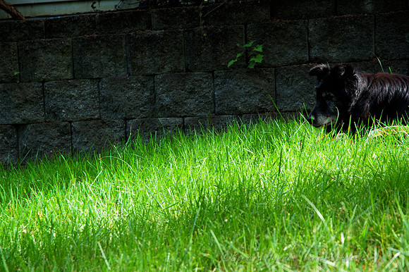 D70_21764.jpg