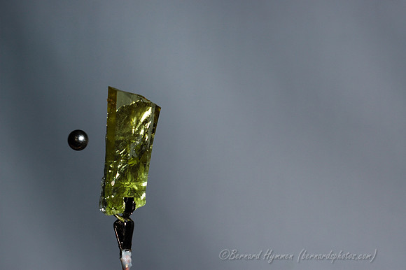 D70_21390