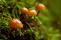 D70_12358